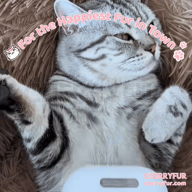 Spray Cat Grooming Brush - Cherryfur™️