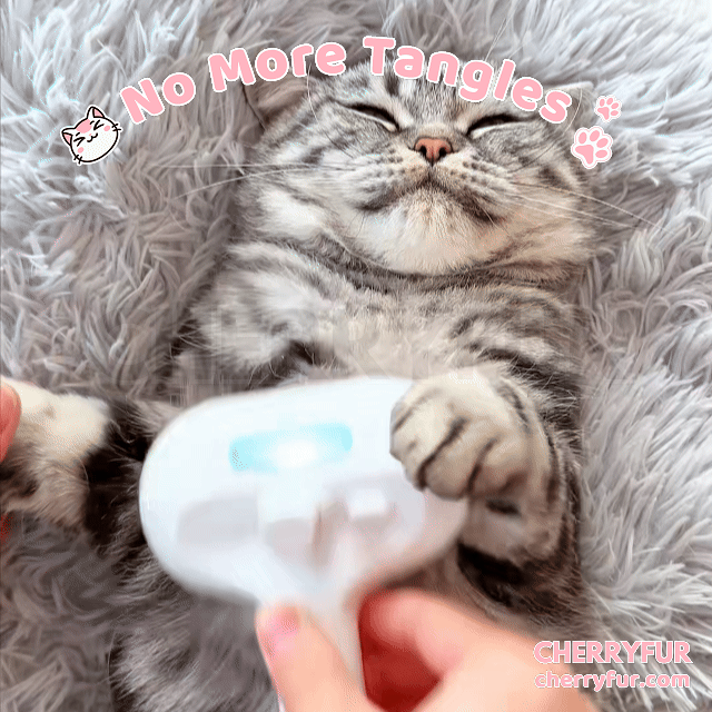 Spray Cat Grooming Brush - Cherryfur™️