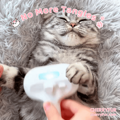 Spray Cat Grooming Brush - Cherryfur™️