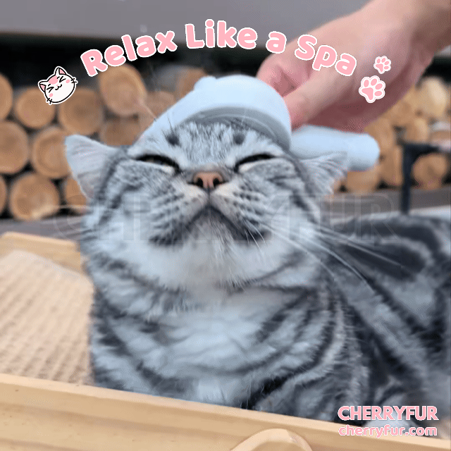 Spray Cat Grooming Brush - Cherryfur™️