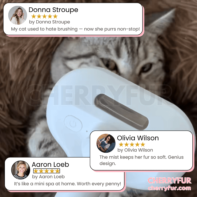 Spray Cat Grooming Brush - Cherryfur™️