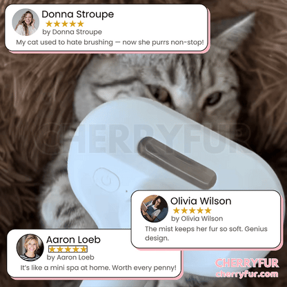 Spray Cat Grooming Brush - Cherryfur™️